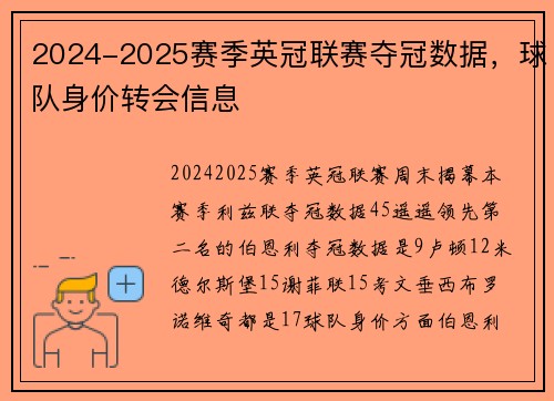 2024-2025赛季英冠联赛夺冠数据，球队身价转会信息