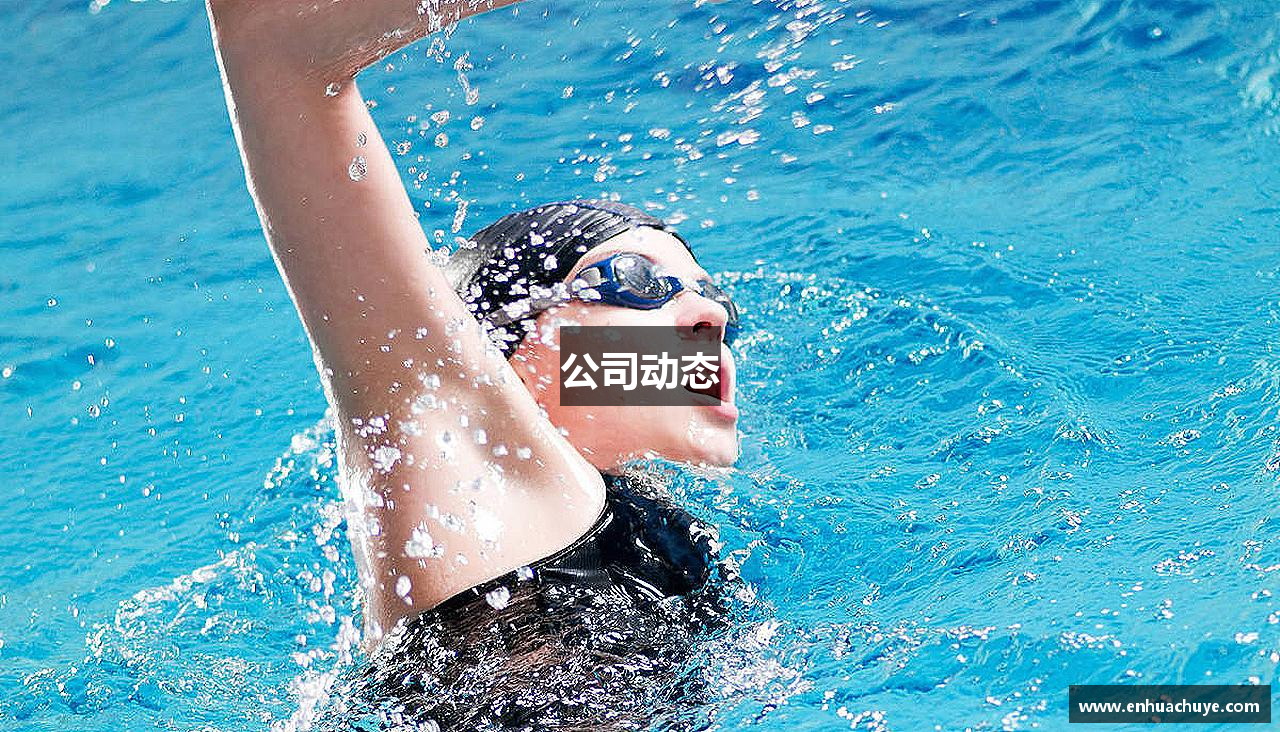 公司动态